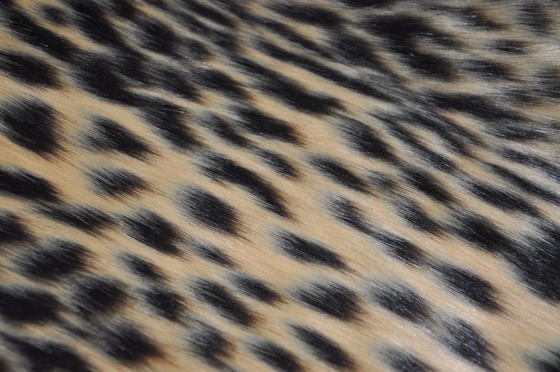 visión de acrílico de la falsificación del telar jacquar del estampado leopardo de la tela de pelo largo mezclada de la piel