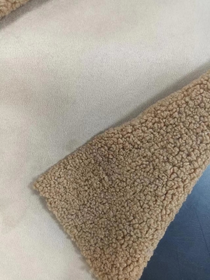 760 gramos de tejido de peluche de tejido compuesto de tejido de peluche rizado de tejido de peluche de tejido compuesto con el mismo color