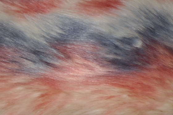 El Fox falso largo de la tela el 150cm de la piel del pelo de los colores de la pendiente tres, proporciona últimos calor y comodidad para la decoración del hogar del invierno