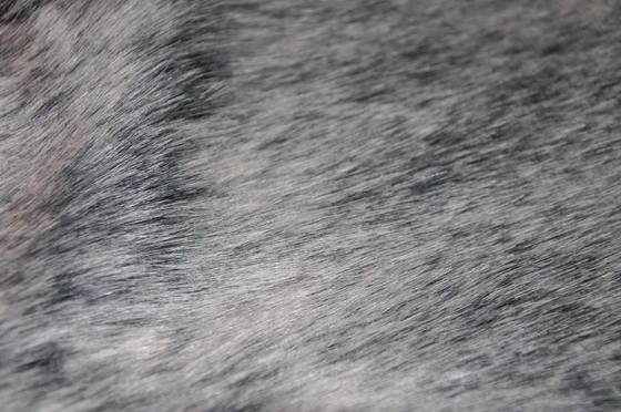 tela larga sólida gris de la piel del pelo, la combinación perfecta de elegancia y de estilo moderno