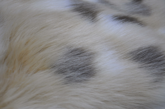 La falsa tela de la piel de Fox del telar jacquar mezclado, piel larga de la falsificación del pelo del 150cm, crea diseños caseros únicos de la decoración y de la cortina