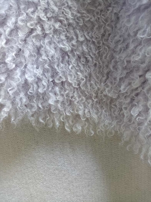 Tejido de peluche rizado de punto de curva es suave y cómodo, 100% poliéster